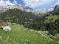 pyreneje